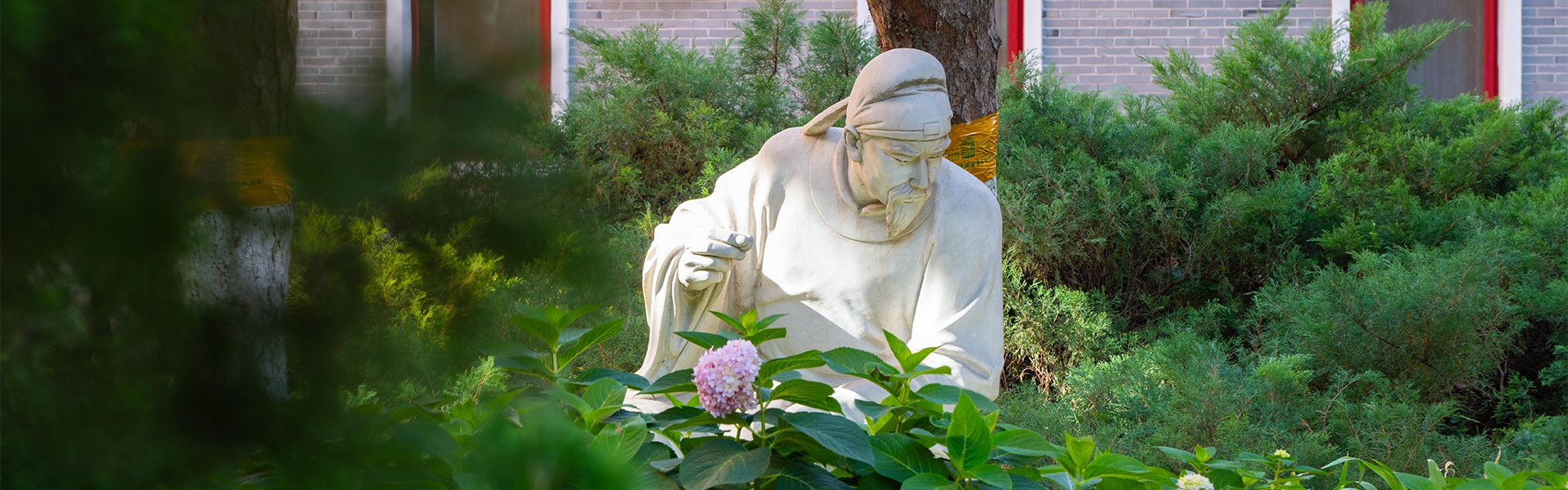 院系总览