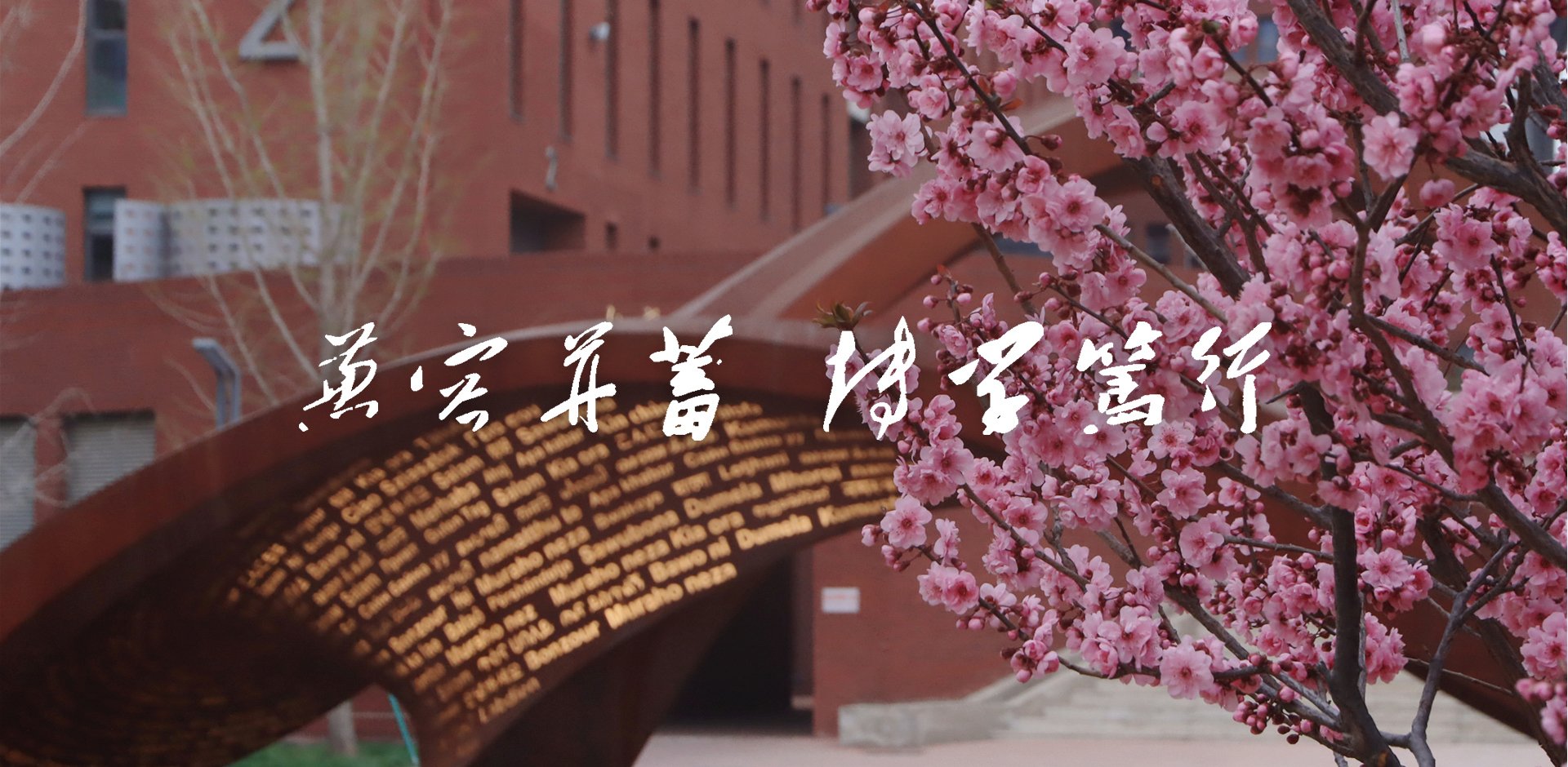 北外加入好博官网登录新人权益关键领域