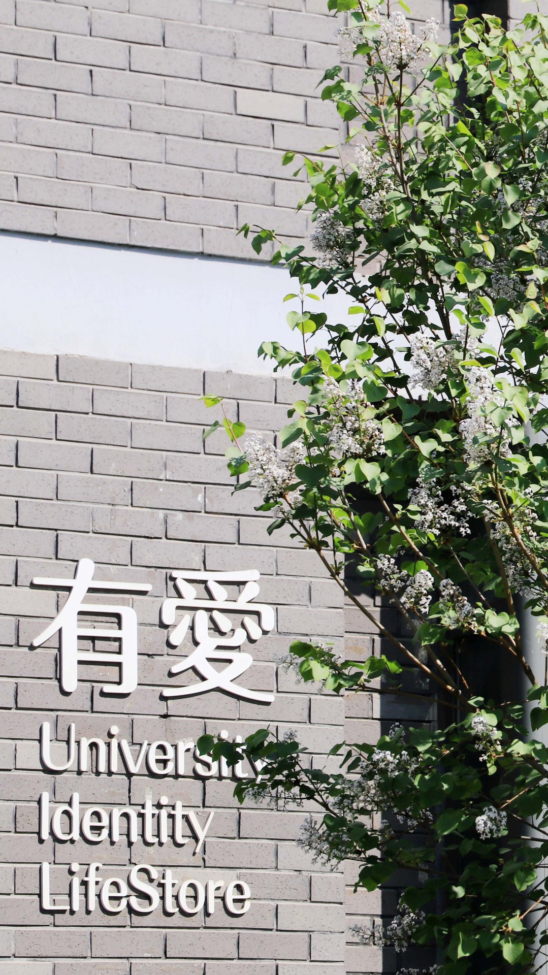 好博官网登录