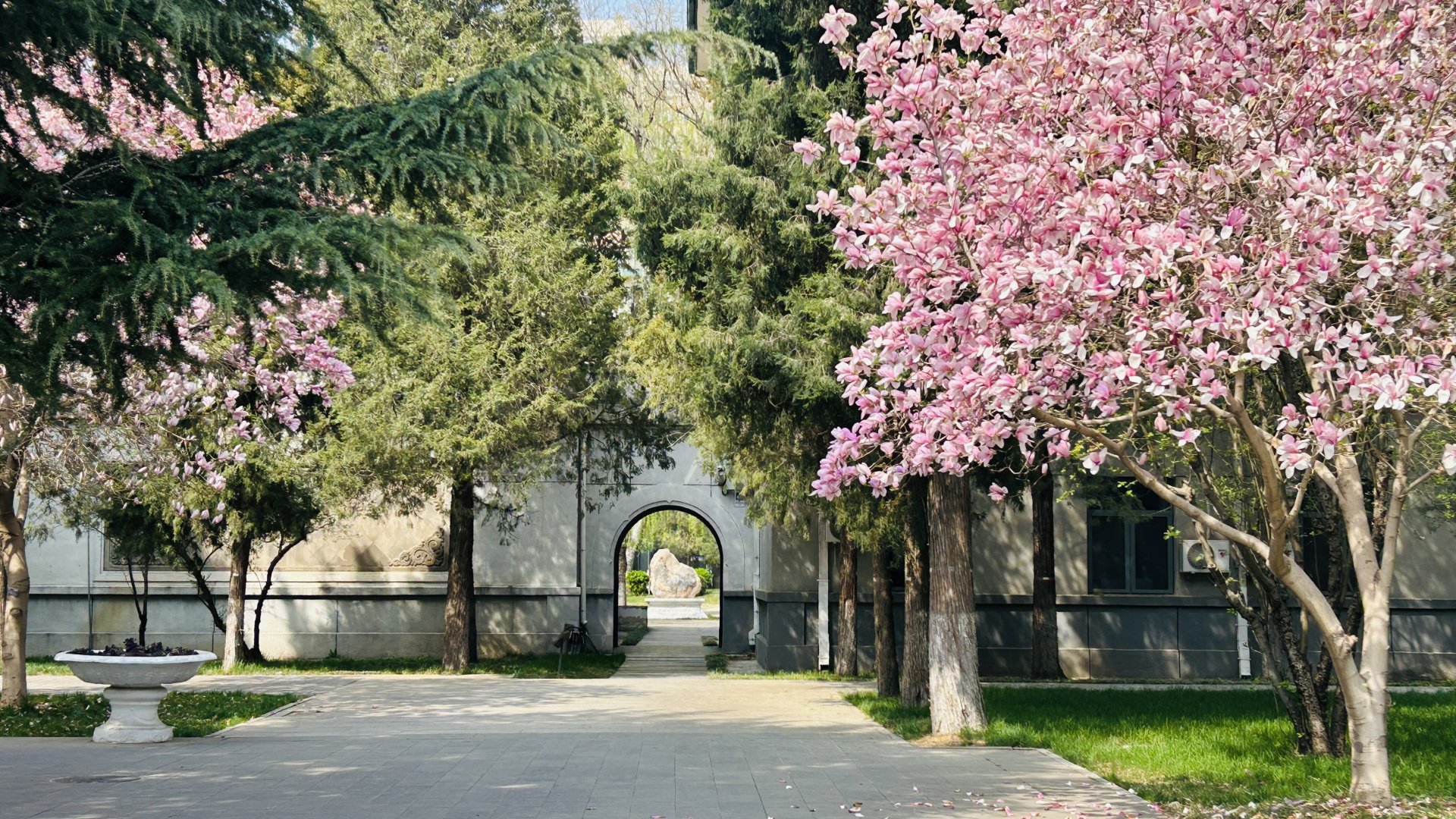 北外来华留学已形成办学层次齐全