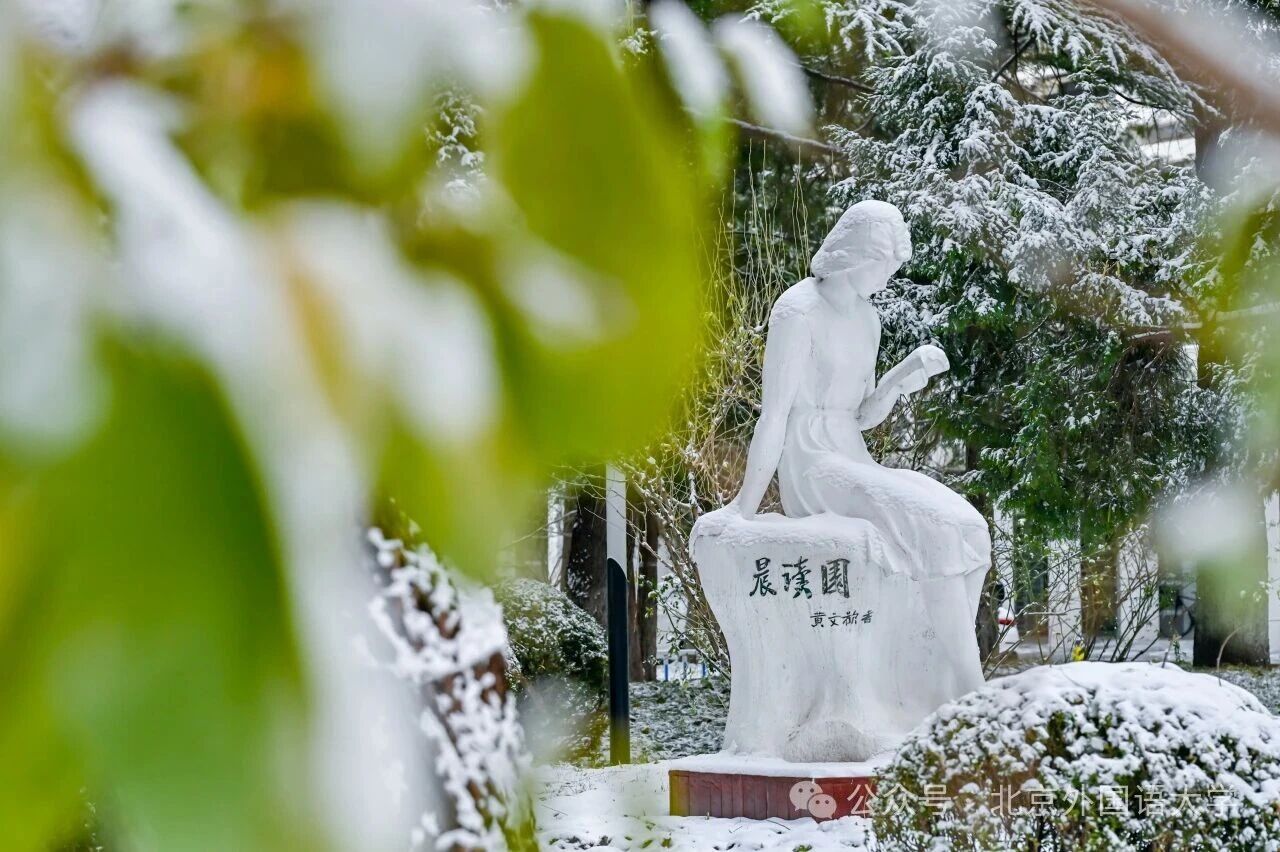 活跃在外交